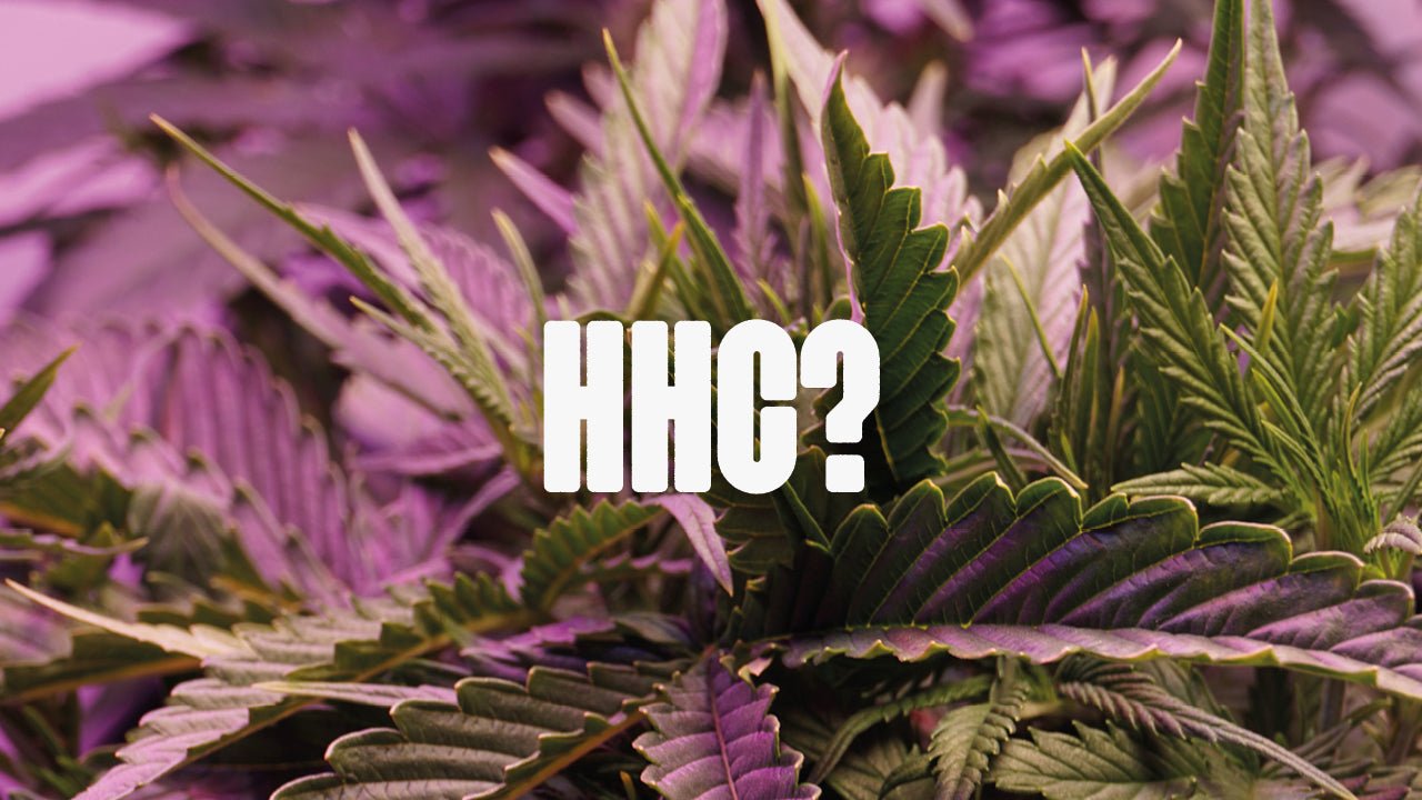 Was ist HHC? - Happy420.de