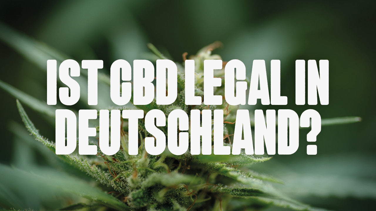 Ist CBD Legal in Deutschland