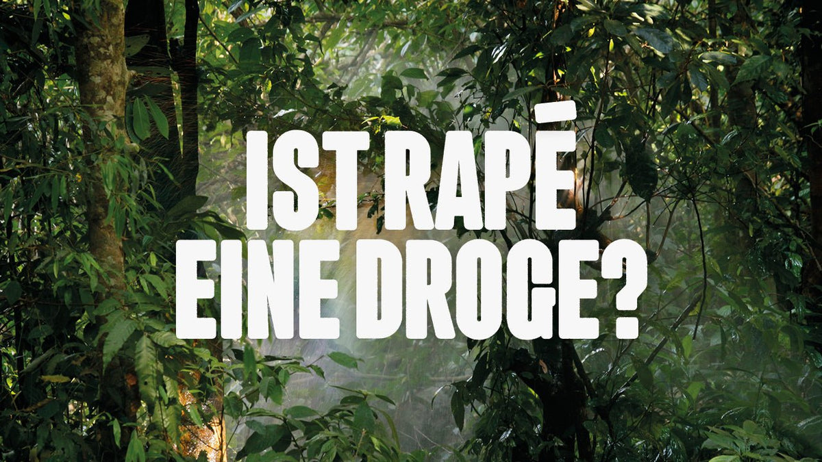 Ist Rapé eine Droge? Heilpflanze oder Rauschmittel? - Happy420.de