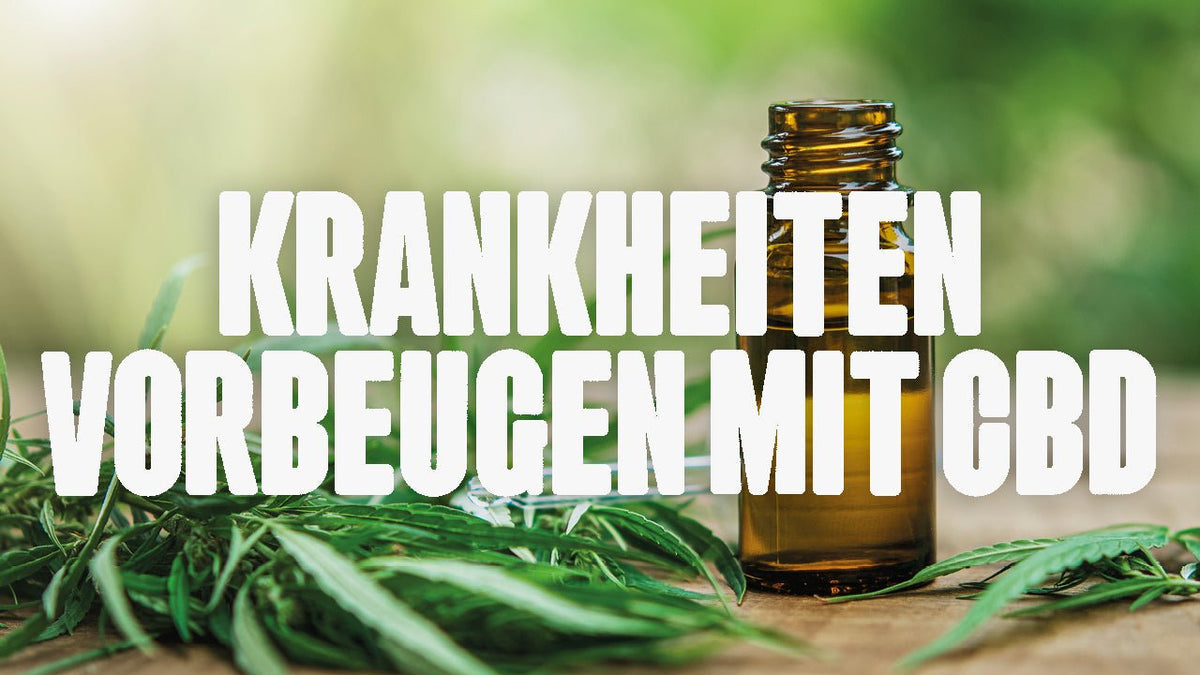 Krankheiten vorbeugen mit CBD - Happy420.de