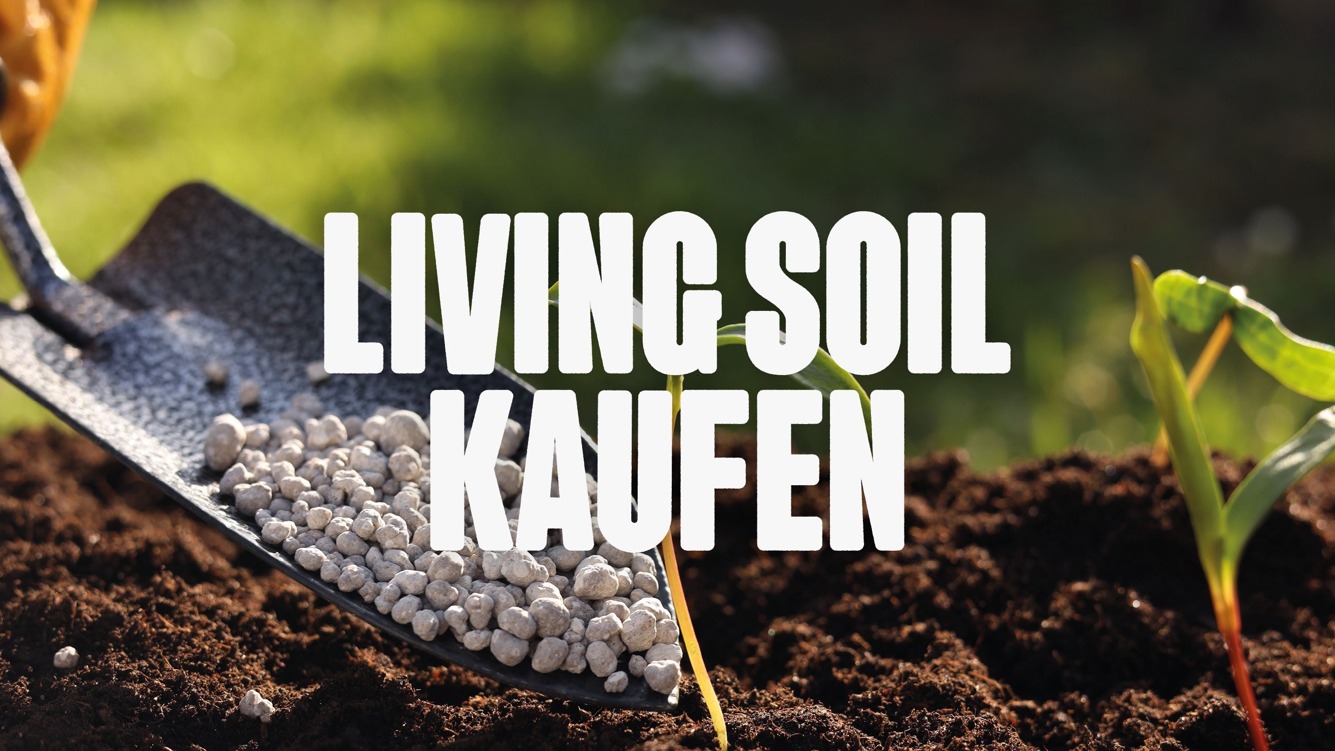 Bild von Schaufel mit Dünger vor Blumenerde