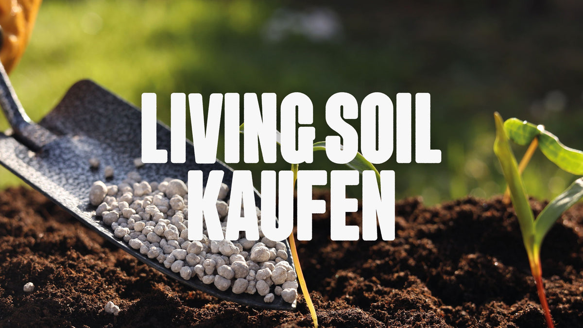 Bild von Schaufel mit Dünger vor Blumenerde