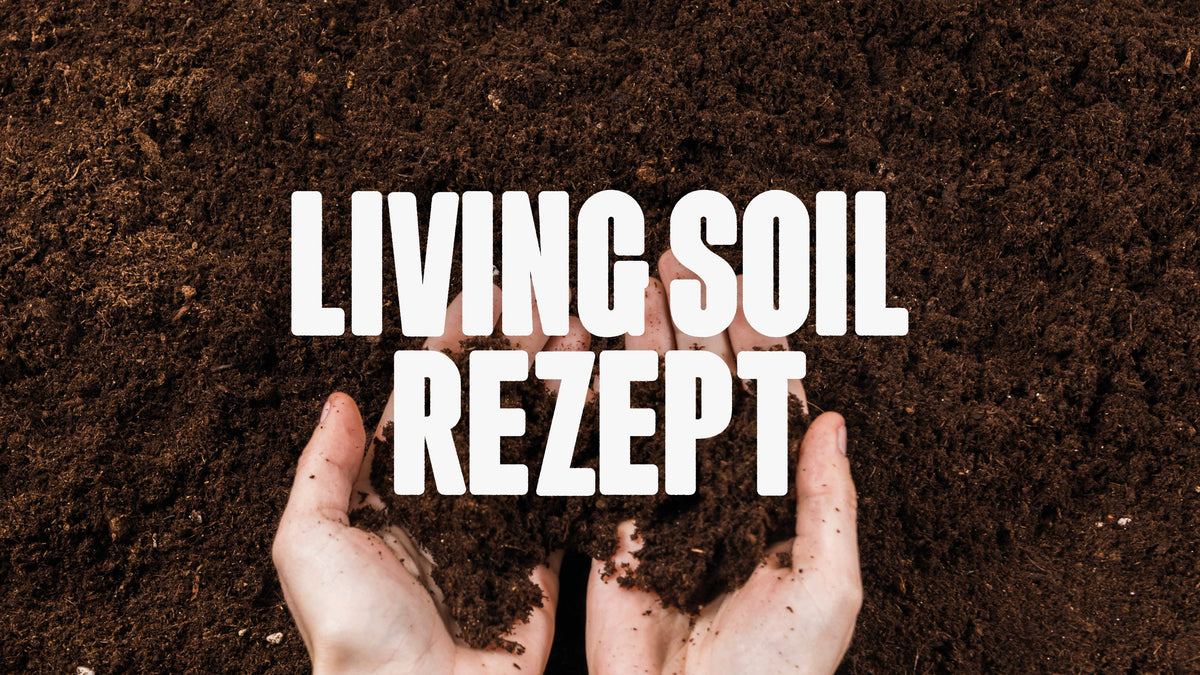 Hände halten Blumenerde