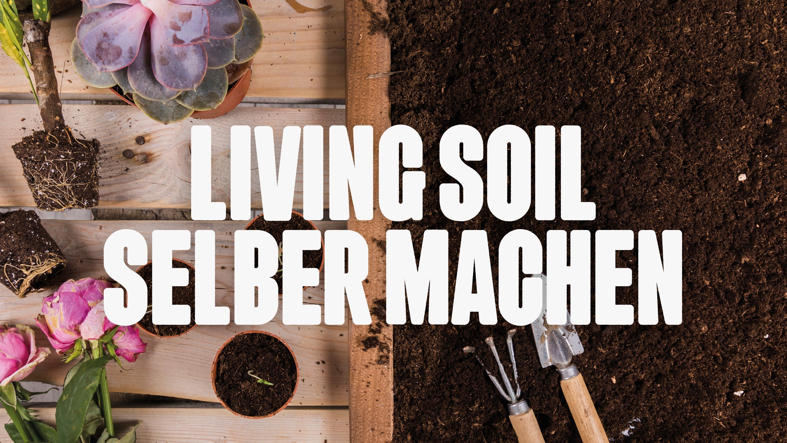 Bild von Blumenerde und Holzkasten mit Blumen und der Aufschrift Living soil selber machen