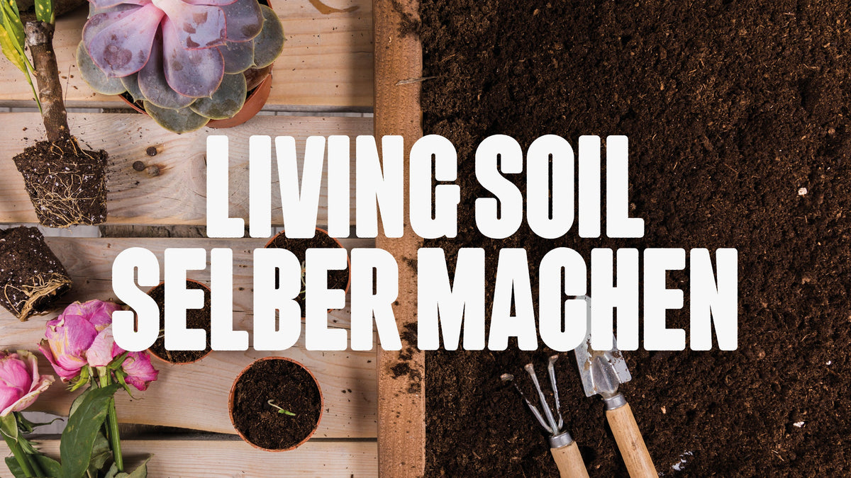 Bild von Blumenerde und Holzkasten mit Blumen und der Aufschrift Living soil selber machen