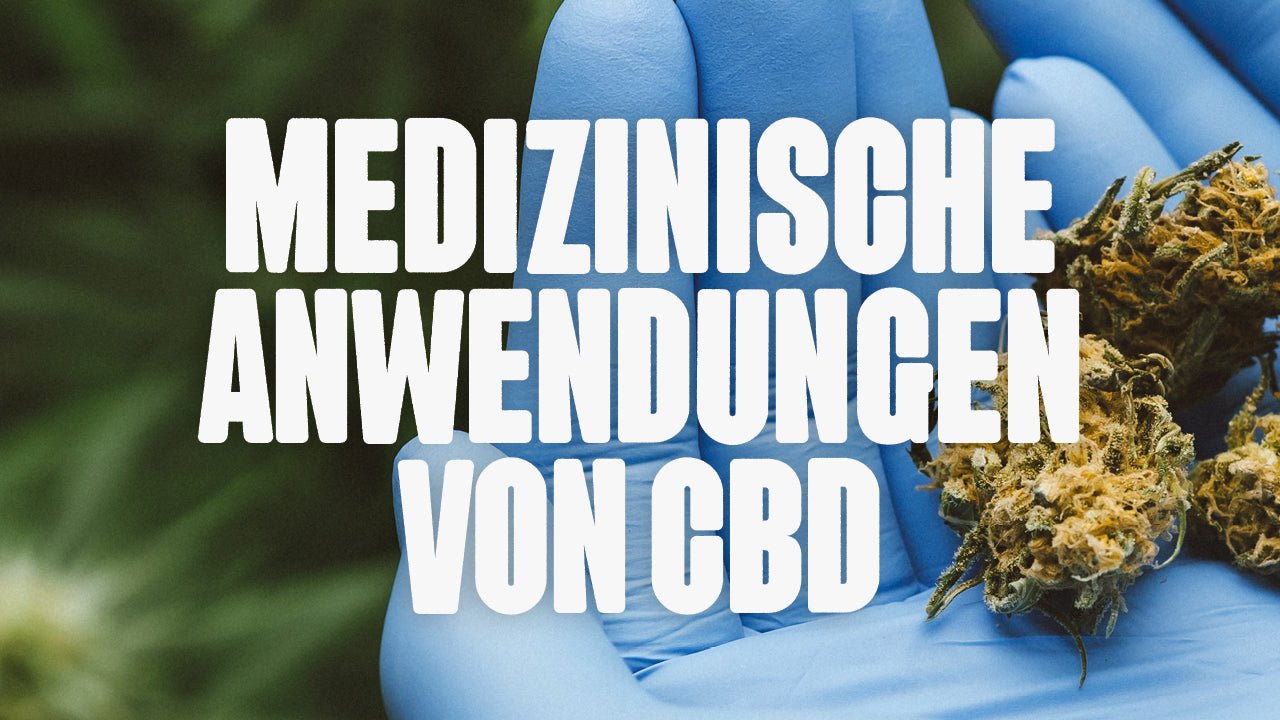 Medizinische CBD Anwendungsgebiete – Wie CBD in der Medizin hilft - Happy420.de