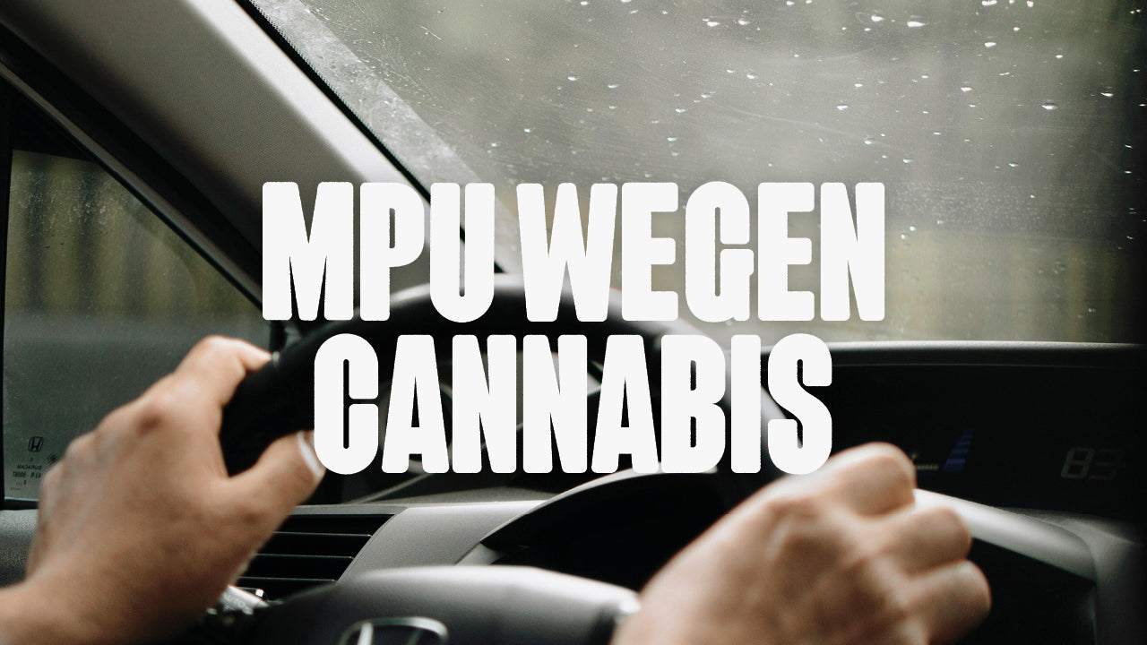 MPU wegen Cannabis