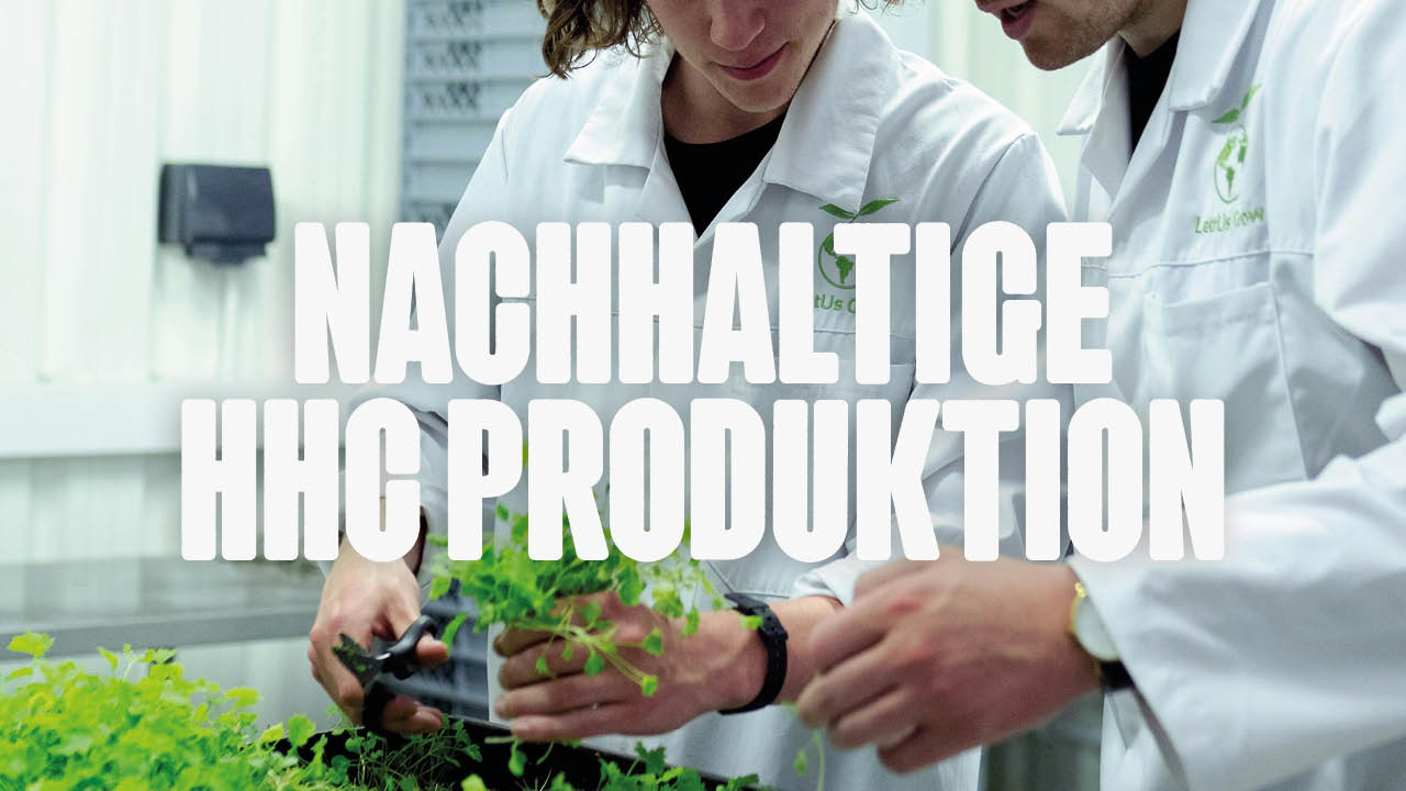 Nachhaltige HHC Produktion