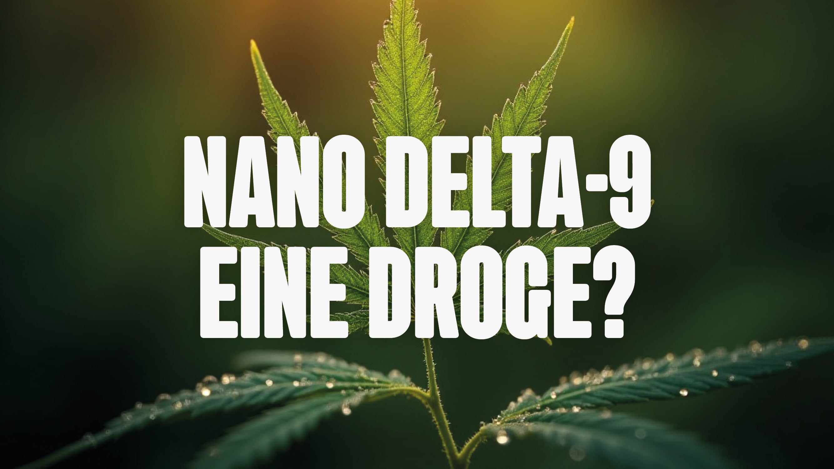 Nano Delta-9 eine Droge
