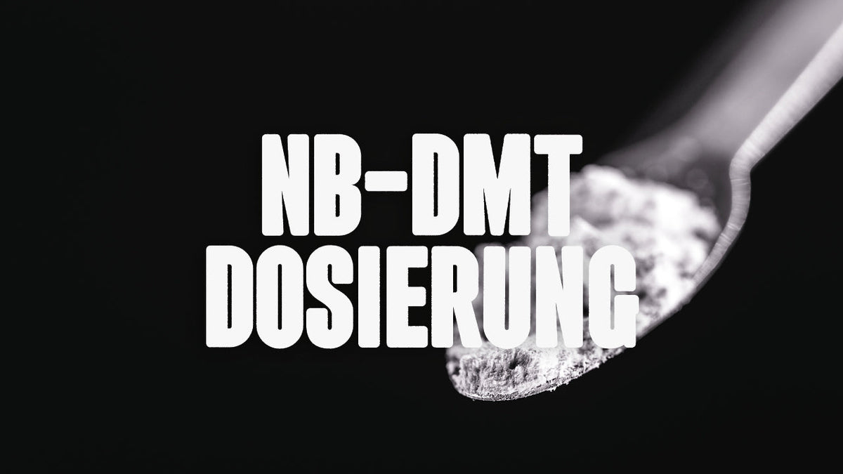 NB-DMT Dosierung