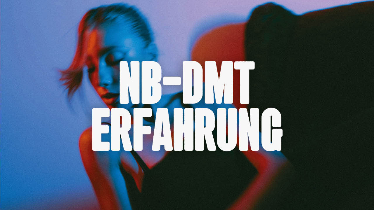 NB-DMT Erfahrung