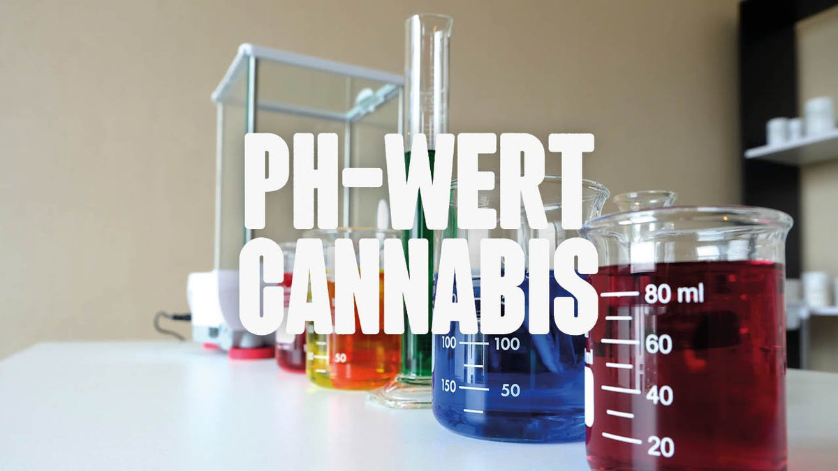 PH-Wert beim Cannabis Anbau - Das wichtigste auf einmal - Happy420.de