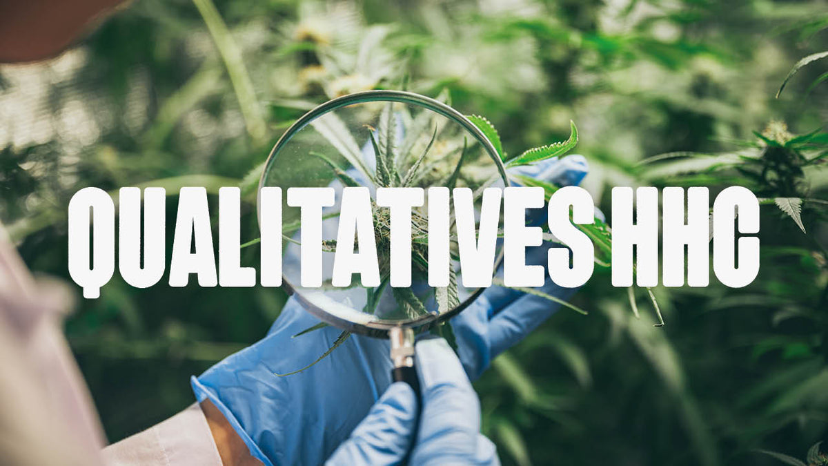 Qualitativ hochwertiges HHC erkennen: Ein Leitfaden für Verbraucher - Happy420.de