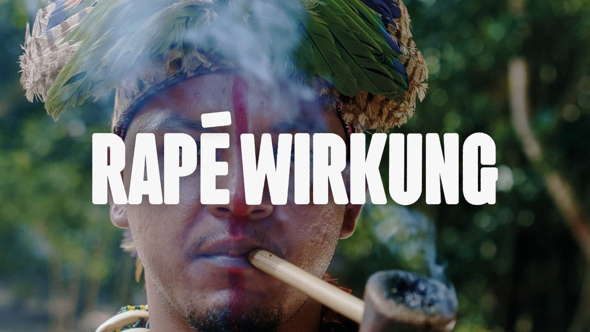 Rapé: Wirkung, Anwendung und spirituelle Bedeutung - Happy420.de