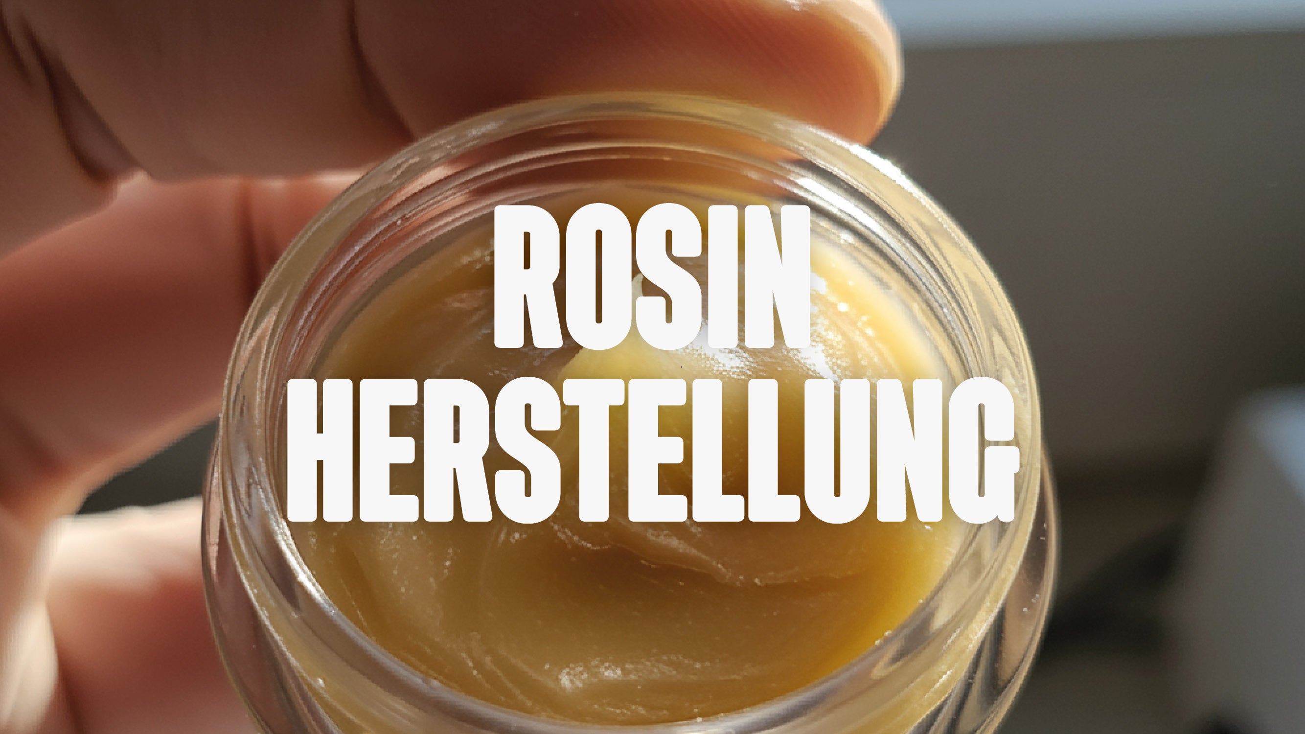 Rosin Herstellung