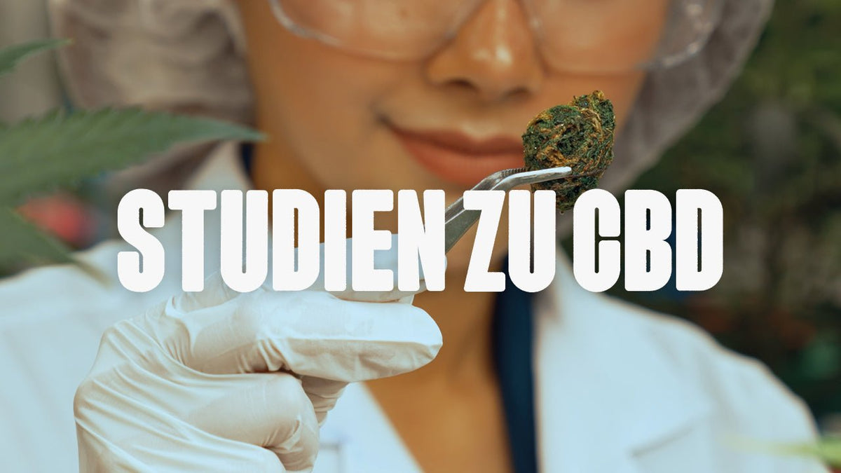 Studien zu CBD – Was sagt die Wissenschaft über Cannabidiol? - Happy420.de