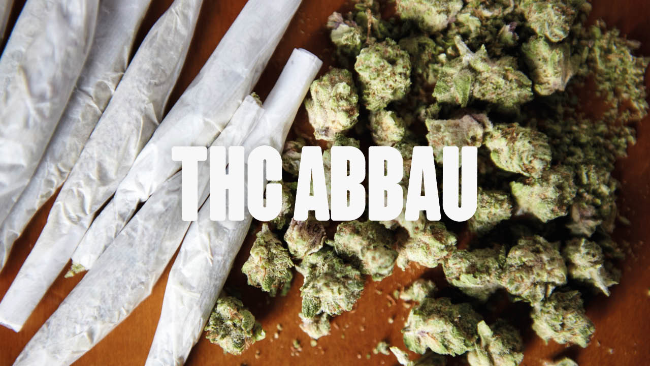 THC Abbau