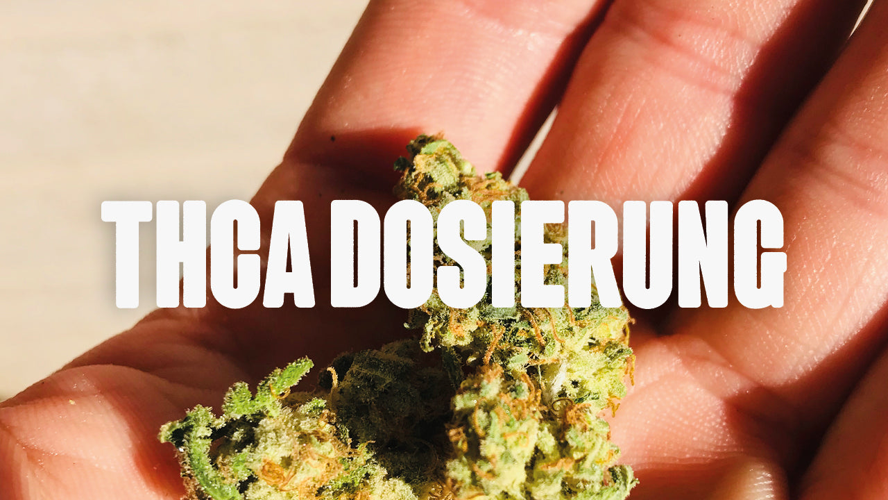 Cannabis Blüte auf Hand