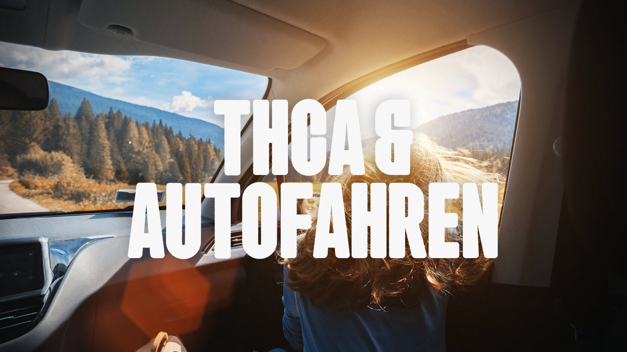 THCA und Autofahren - Happy420.de