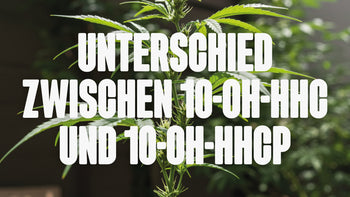 10-OH-HHCP und 10-OH-HHC