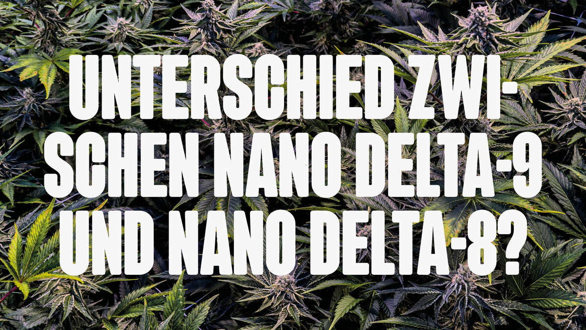Was ist der Unterschied zwischen Nano Delta-9 und Nano Delta-8?