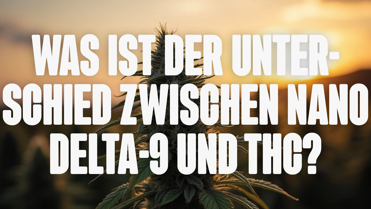 Was ist der Unterschied zwischen Nano Delta-9 und THC?
