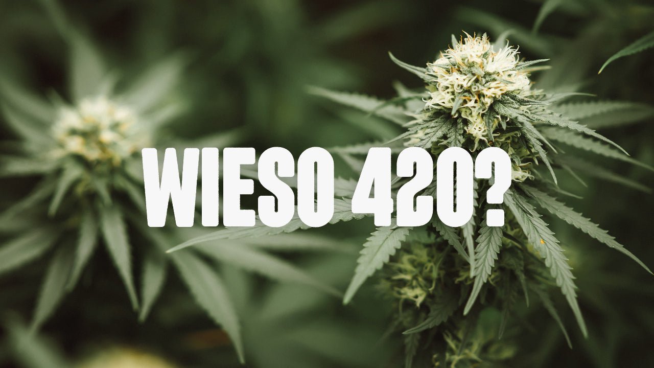 Was ist eigentlich Happy420? - Happy420.de