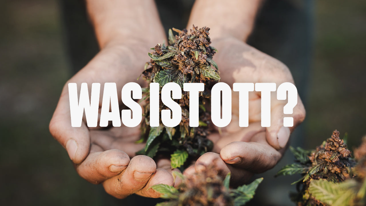 Was ist Ott