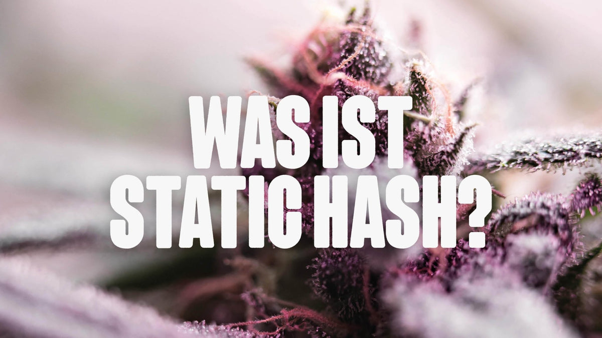 Was ist Static Hash? Reines Cannabis-Hash ohne Lösungsmittel | Happy420.de