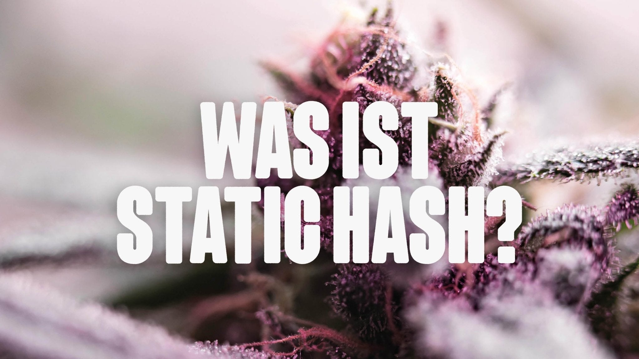 Was ist Static Hash? - Happy420.de