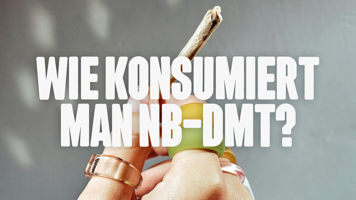 NB-DMT Konsum