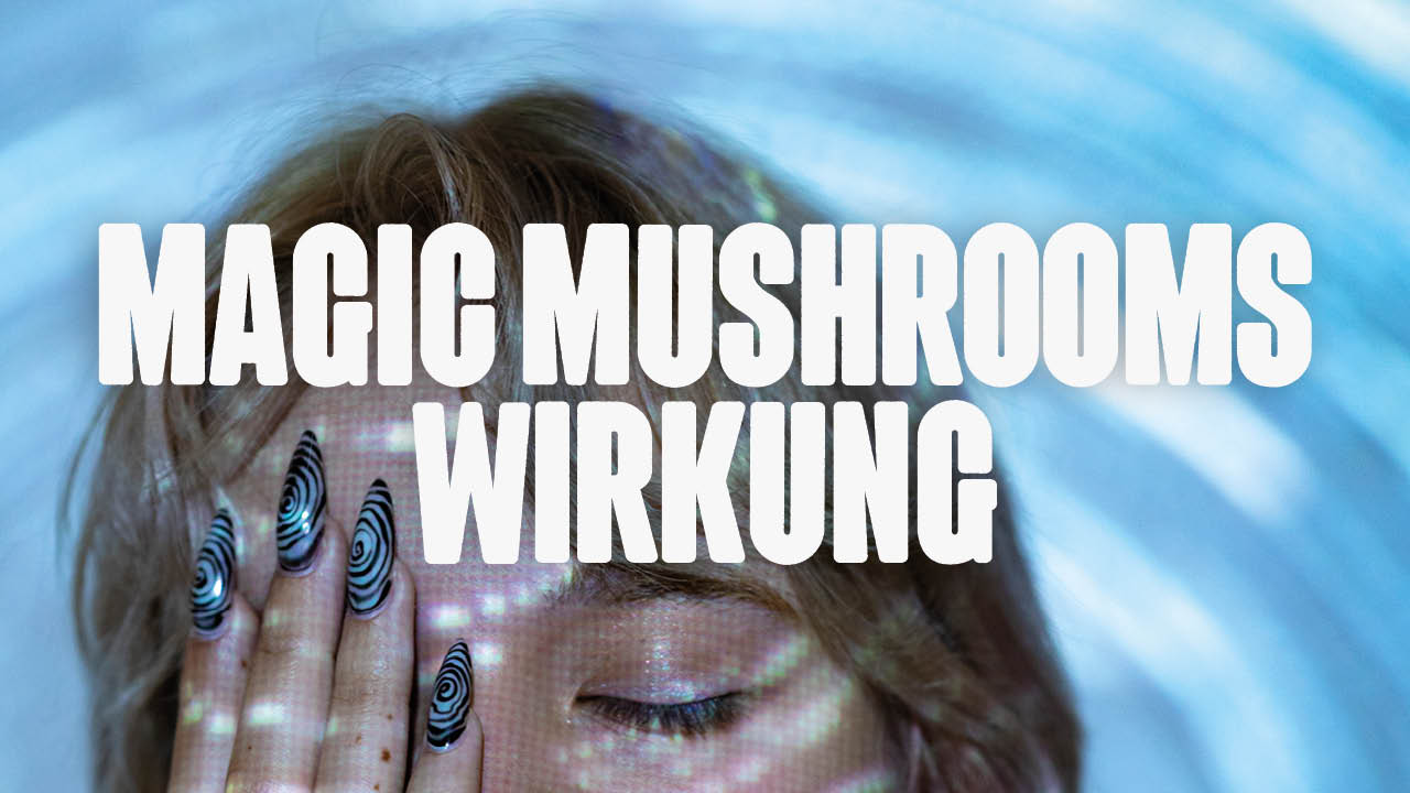 magic mushrooms wirkung