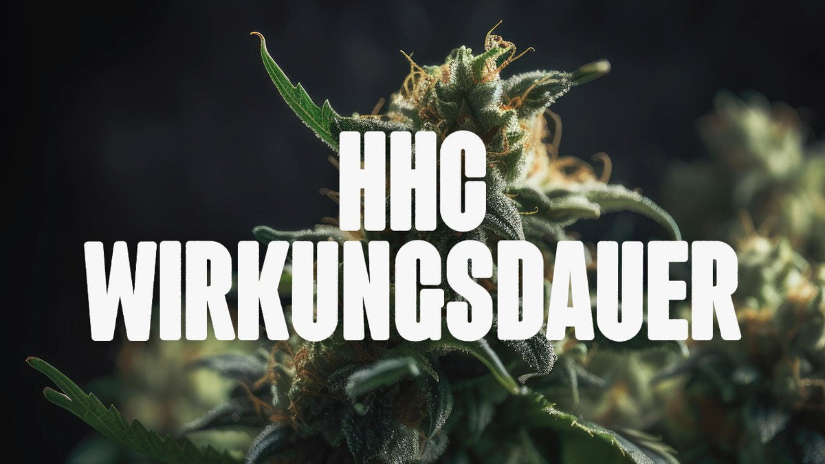 Wirkungsdauer HHC - So lange spürst du das Cannabinoid - Happy420.de