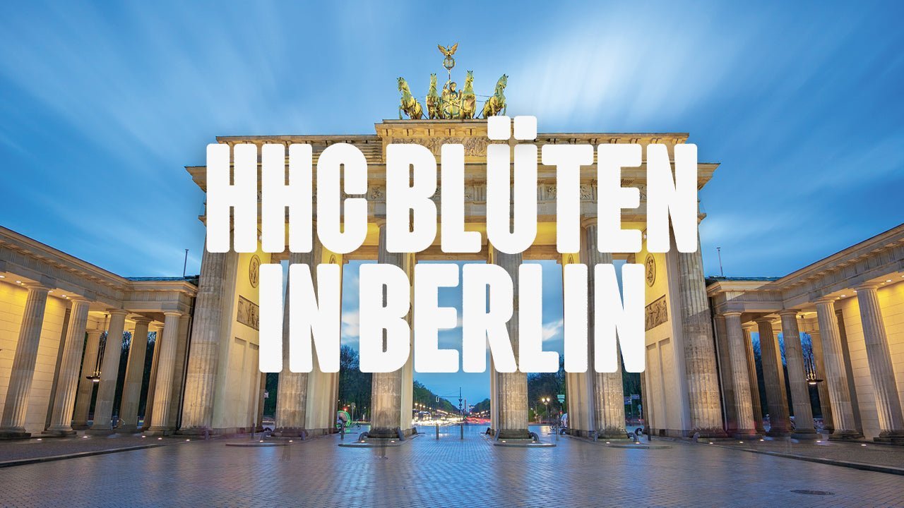 Wo kann ich HHC Blüten kaufen in Berlin? - Happy420.de