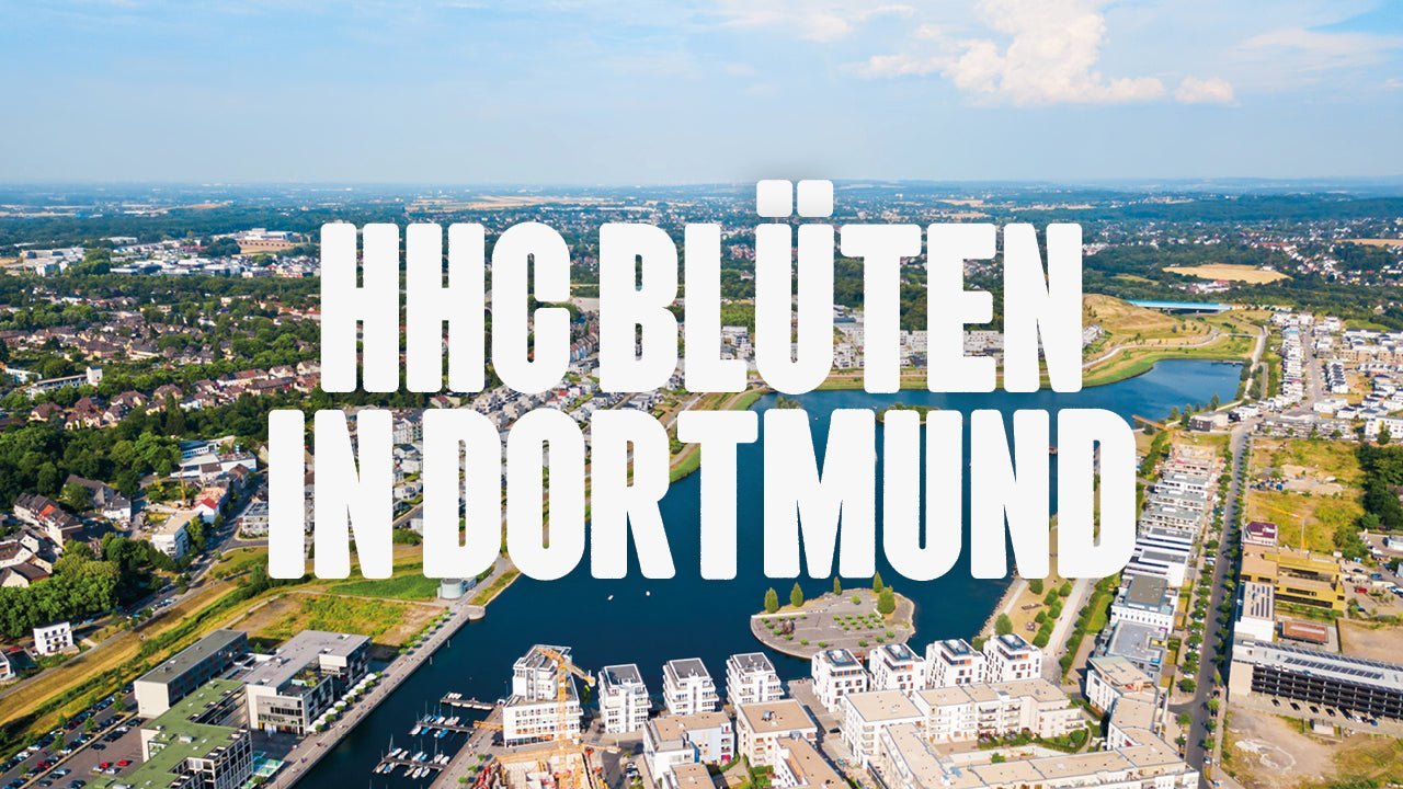 Wo kann ich HHC Blüten kaufen in Dortmund? - Happy420.de