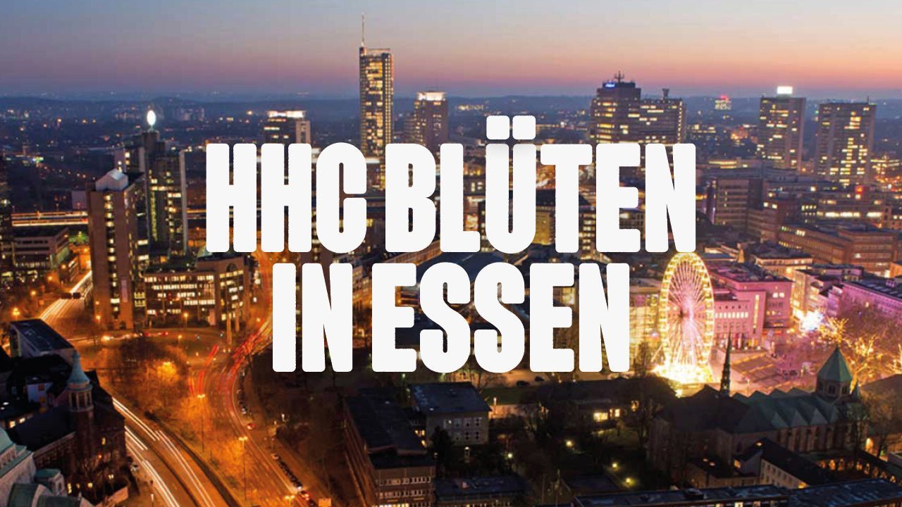 Wo kann ich HHC Blüten kaufen in Essen? - Happy420.de