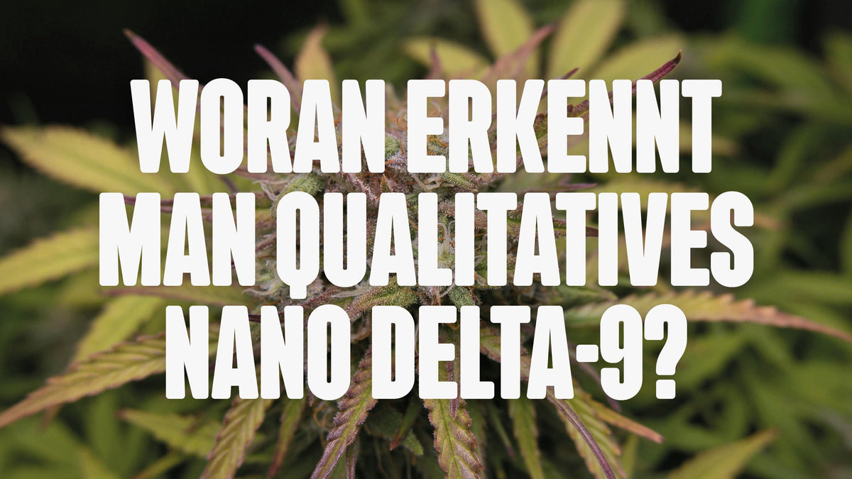 Woran erkennt man qualitatives Nano Delta-9?