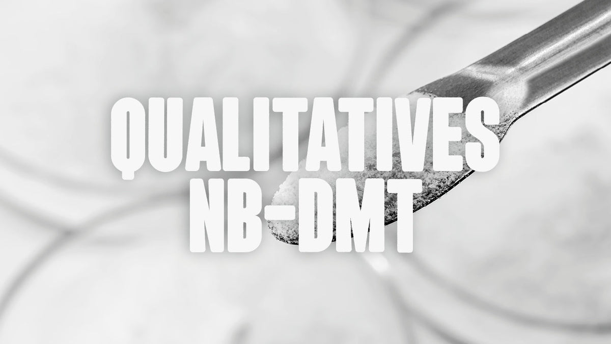qualitatives NB-DMT
