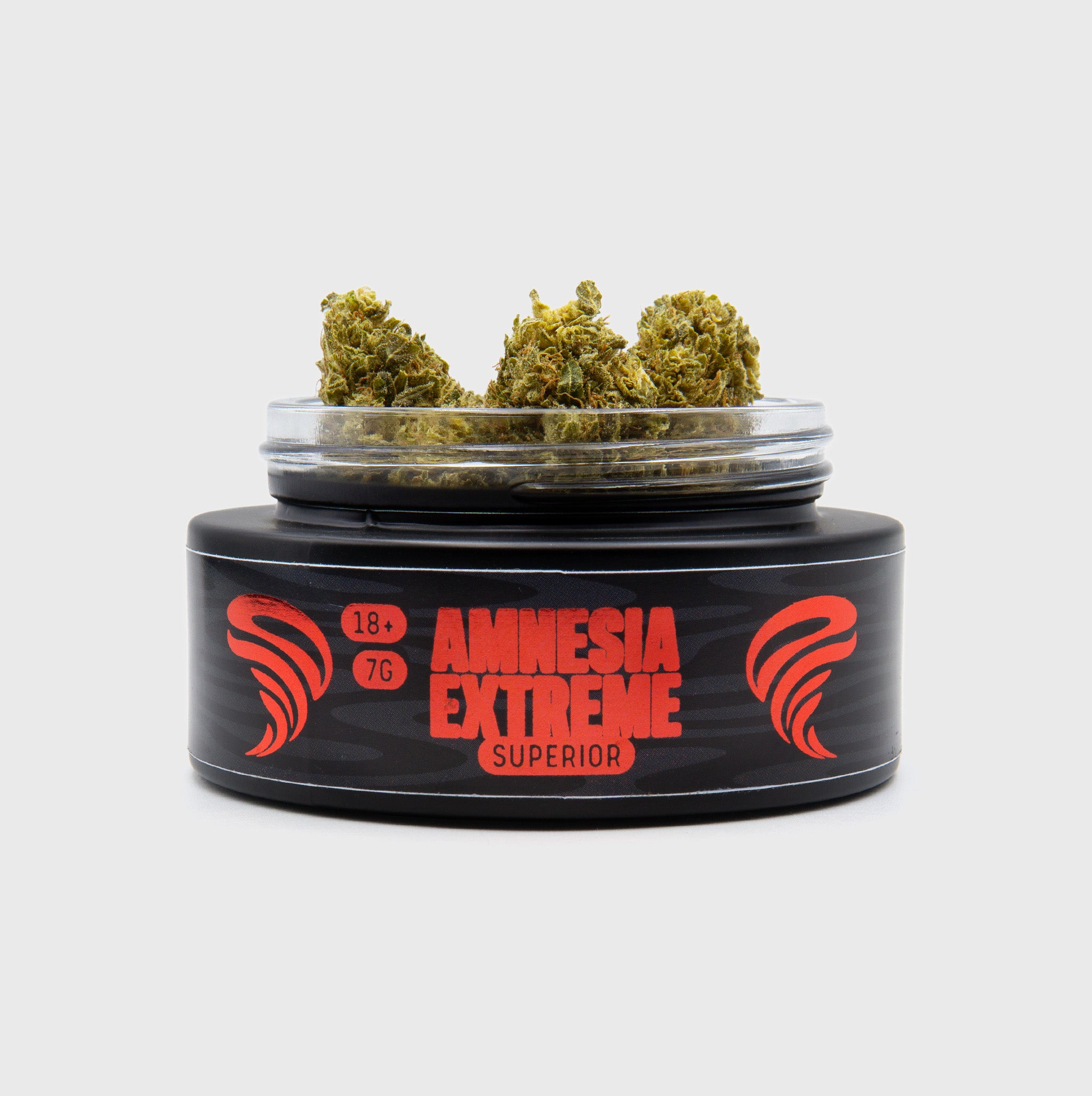 🔥 Amnesia Extreme