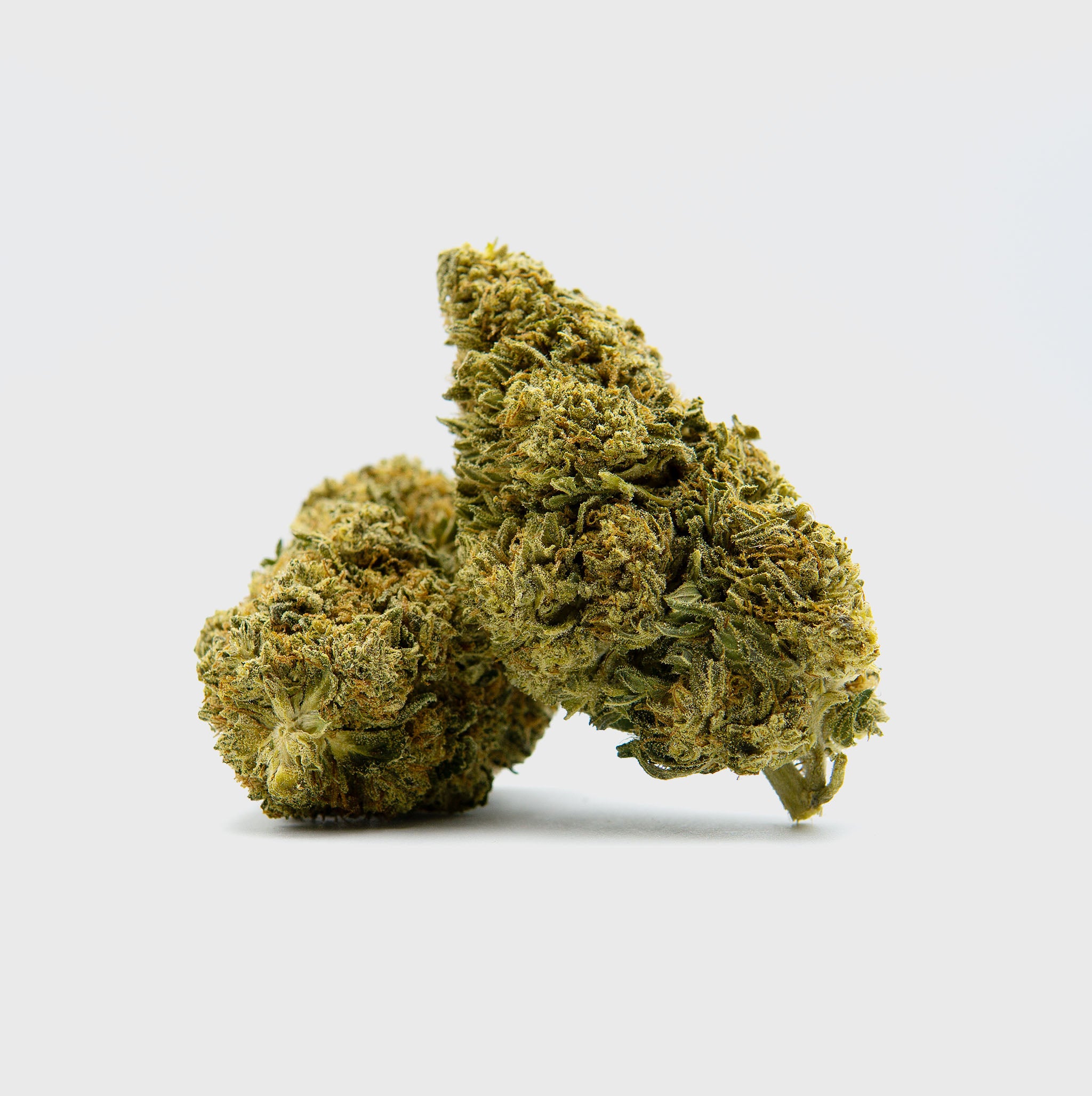 Black Diesel Superior ⛽️