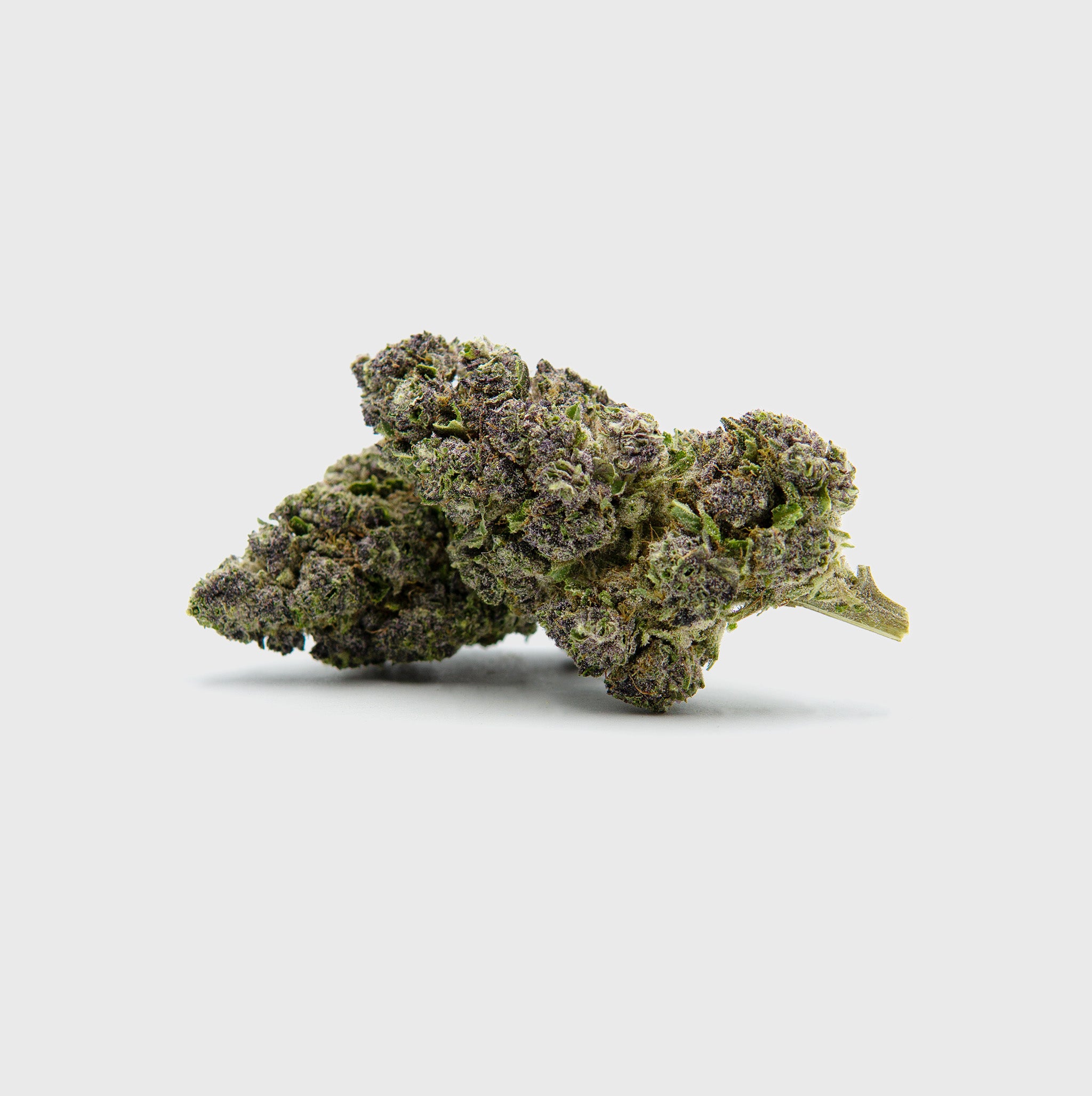 🌊🍣 Blue Zushi Extreme