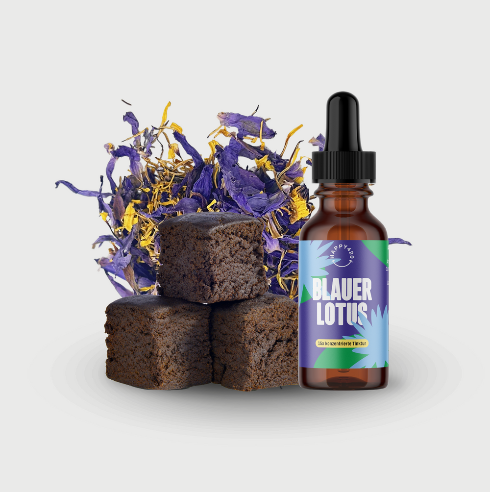 Blauer Lotus Produkte kaufen NYMPHAEA CAERULEA Happy420.de