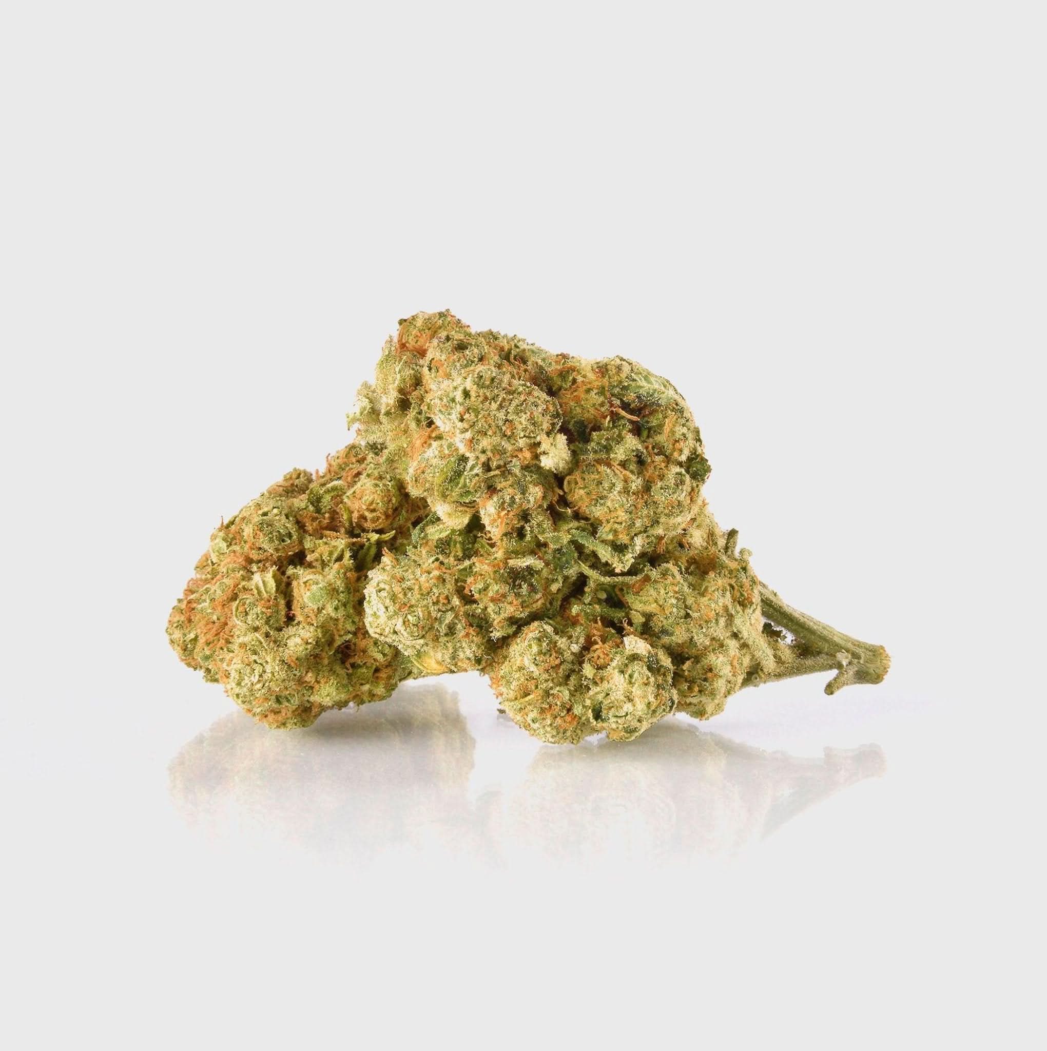🔥 Amnesia Extreme - Happy420.de