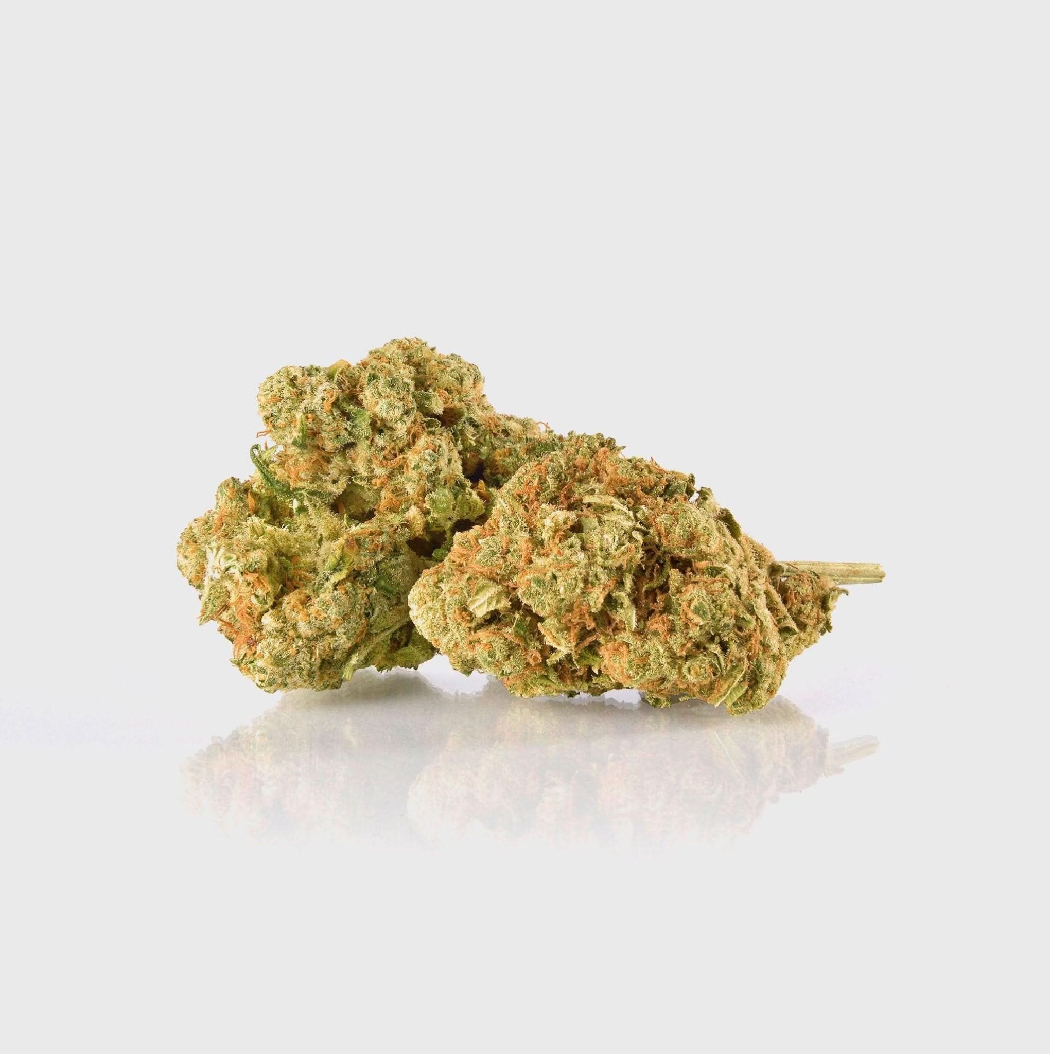🔥 Amnesia Extreme - Happy420.de