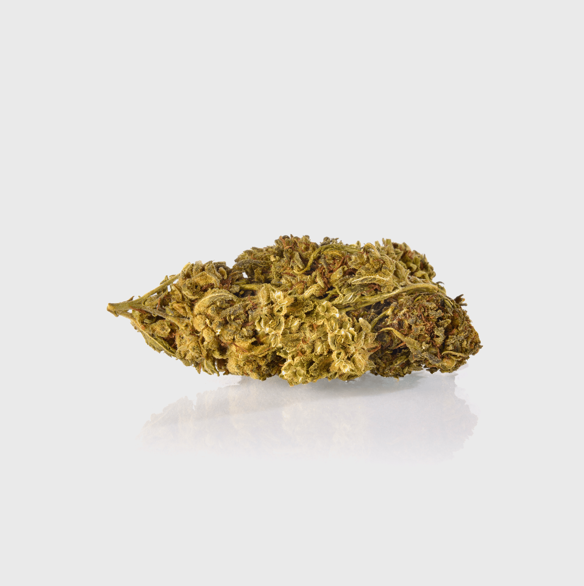 Guerillas Gusto - Happy420.de