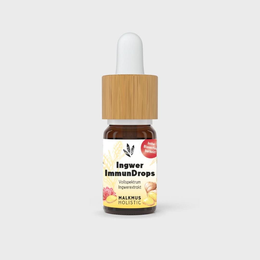 Ingwer ImmunDrops: Die hochkonzentrierte Kraft der Ingwerwurzel - Happy420.de