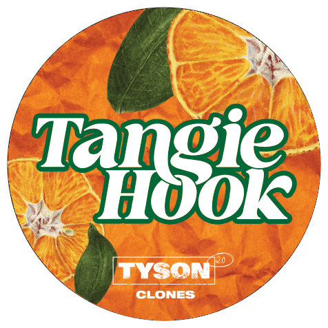 Tyson 2.0 - Tangie Hook - Happy420.de
