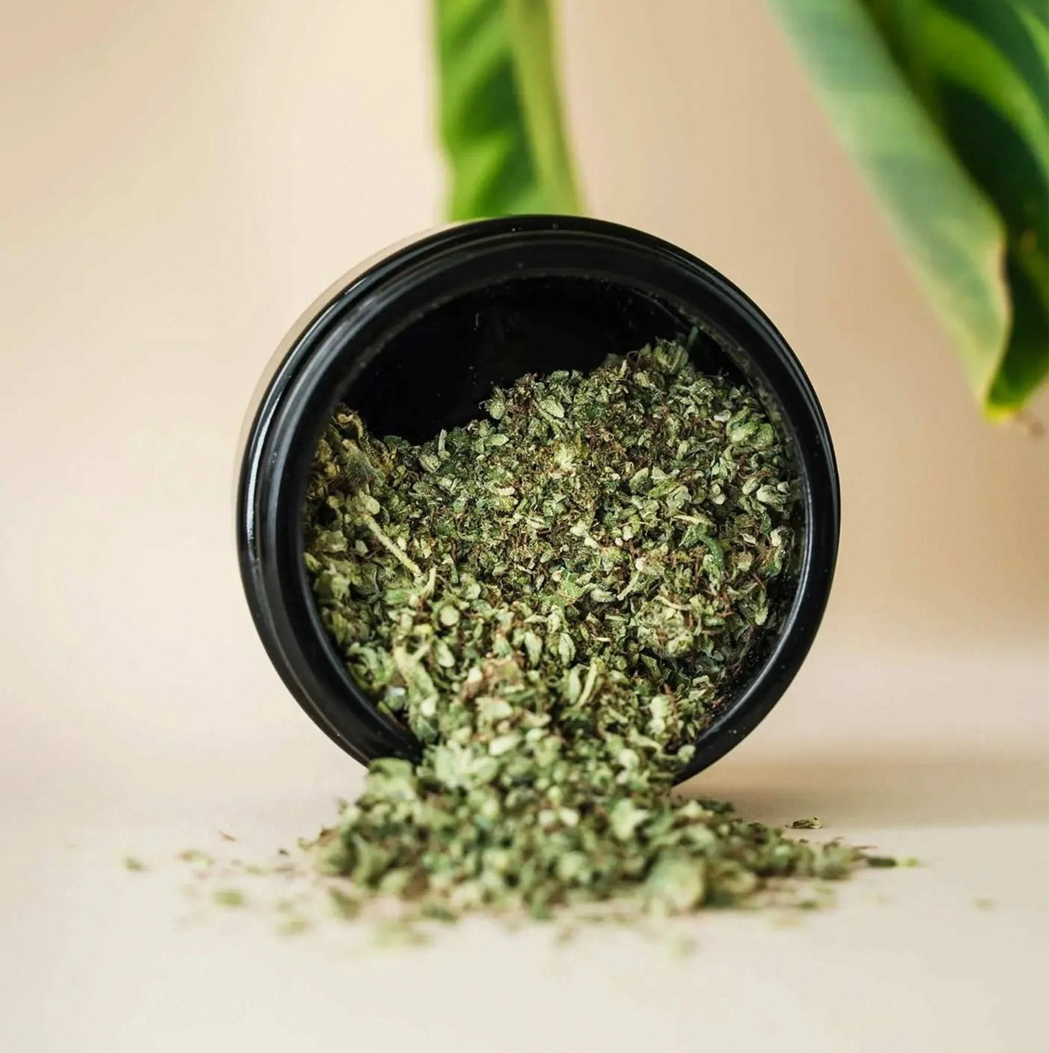 🌸 Blütenmix CBD/CBG - Happy420.de