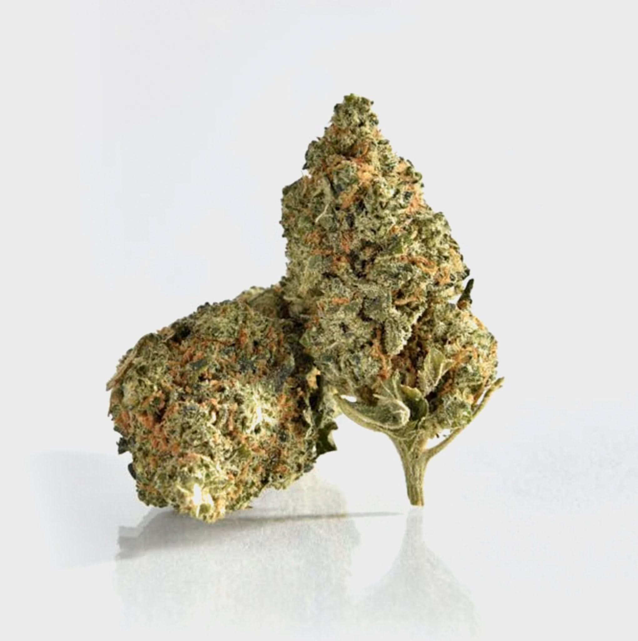 🍒 Cherry Calussi 14% CBD - Happy420.de
