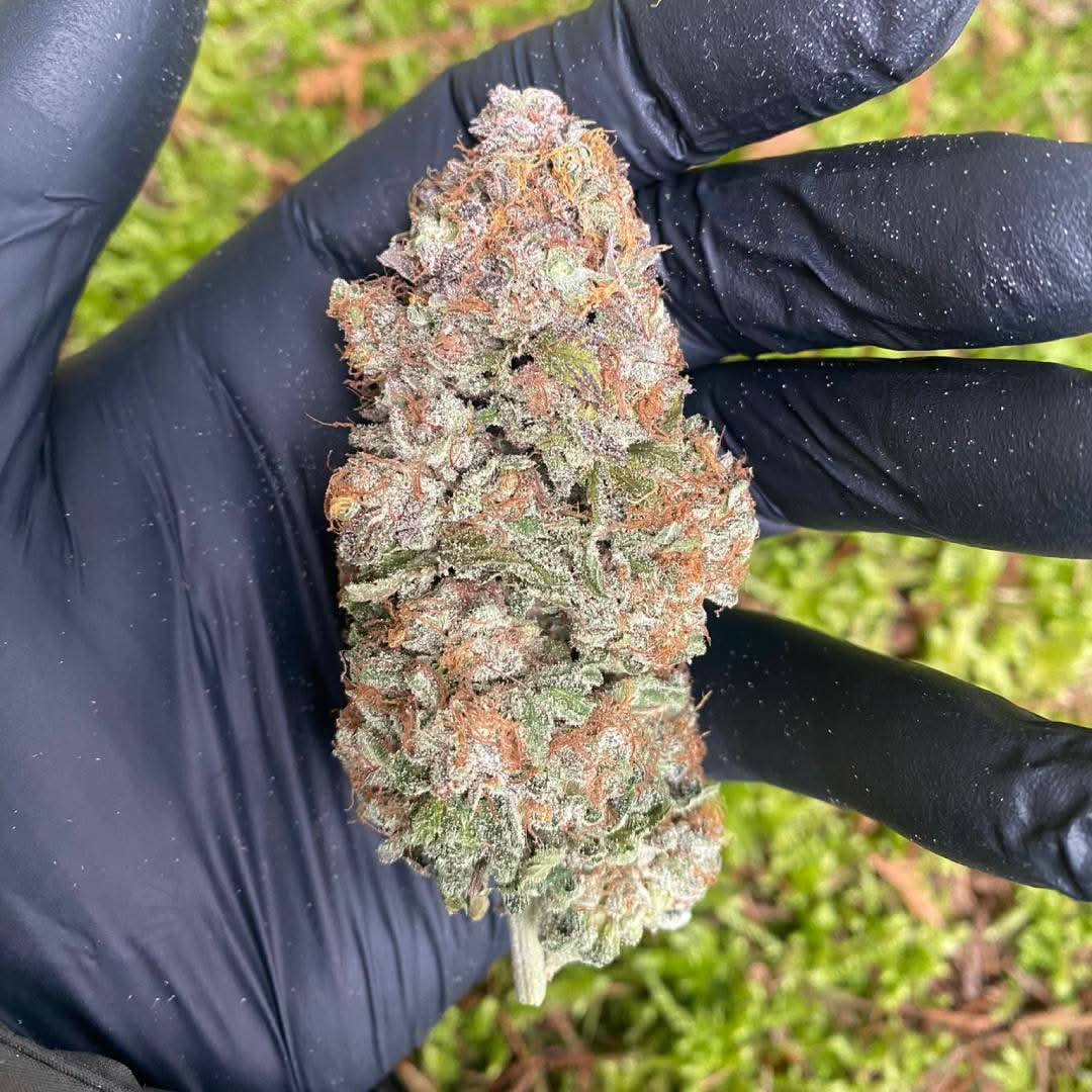 🌿 DASH 14% CBG by Marvin Game - Happy420.de